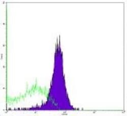 TRAIL/TNFSF10 Antibody (RIK-2) - BSA Free, Novus Biologicals 0.1mg; Unlabeled:Antibodies,